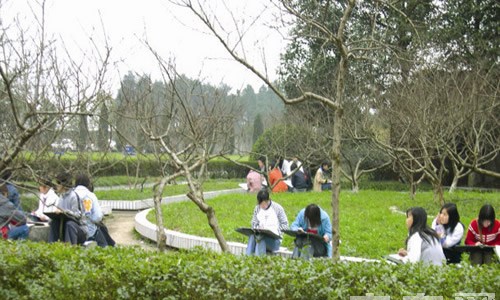 成都華夏旅游商務學校（雙流華夏幼師學校）校園寫生