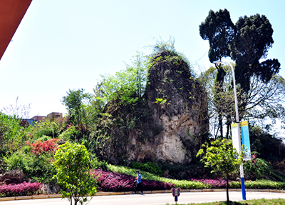 學(xué)校風(fēng)景.jpg