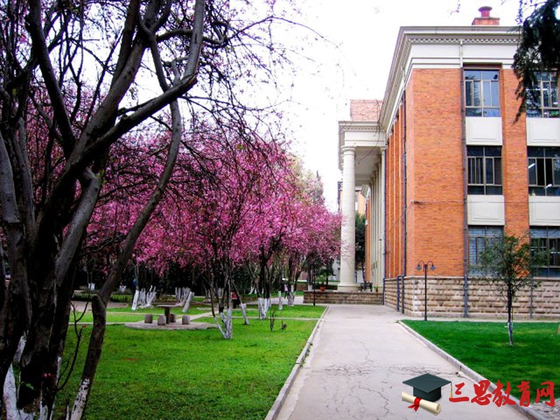 2020年云南一本文科大學(xué)排名及錄取分?jǐn)?shù)線排行(從高到低排名)