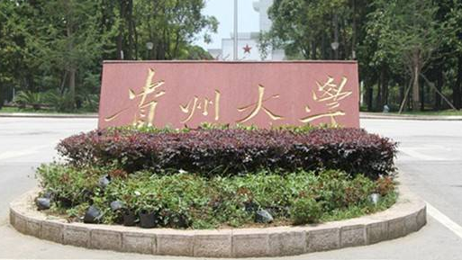 2020年貴州有哪些大學(xué)是二本(附錄取投檔線)