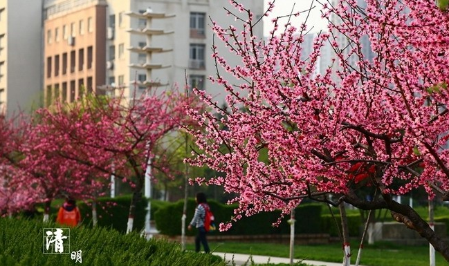 西安郵電大學(xué)怎么樣 評(píng)價(jià)排名好不好(10條)