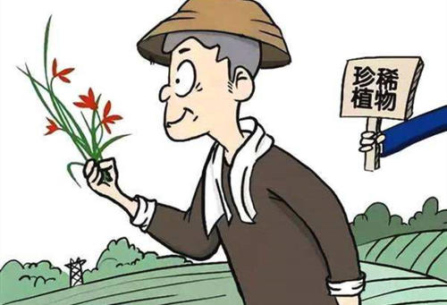 植物保護(hù)專業(yè)就業(yè)方向有哪些？