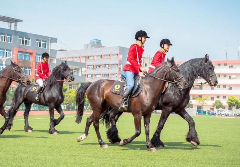 四川科技職業(yè)學院護理學院怎么樣？好不好就業(yè)呢？