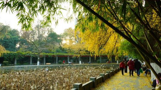 四川大學(xué)華西臨床醫(yī)學(xué)院校園環(huán)境