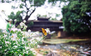 四川省成都市財(cái)貿(mào)職業(yè)高級中學(xué)校怎么樣