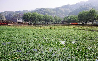 四川省經(jīng)濟(jì)管理學(xué)校2020年報名條件、春招生要求、春招生對象