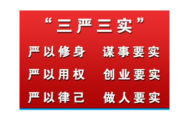 2020年三嚴三實學習體會思想匯報