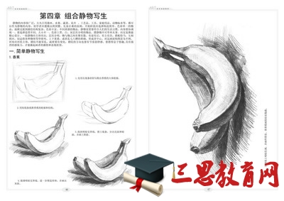 我學會了畫畫300字作文