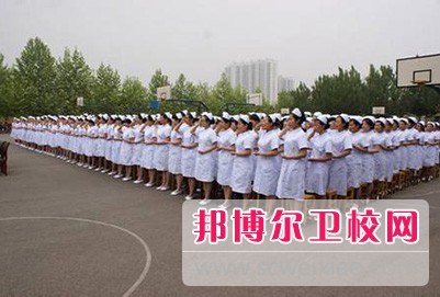 瀘州2020年衛(wèi)校學什么比較好