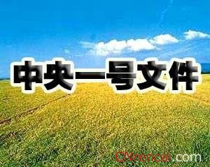 中央一號文件的內(nèi)容