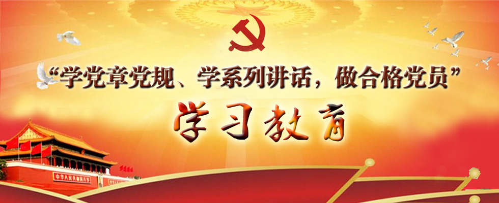 2020年兩學(xué)一做研討材料 鄉(xiāng)鎮(zhèn)兩學(xué)一做研討材料