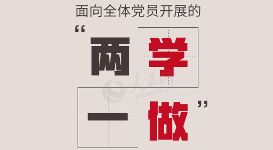 2020年學(xué)校開展兩學(xué)一做主題教育活動學(xué)習(xí)課件