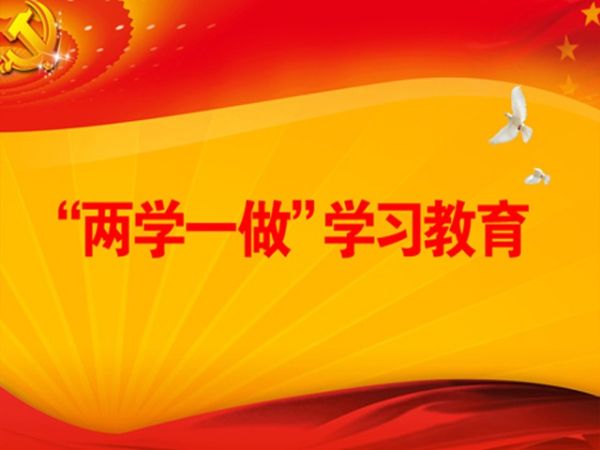 2020年企業(yè)兩學(xué)一做黨課材料2篇