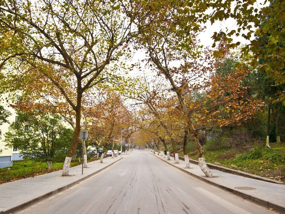 云南經濟管理學院校園風景