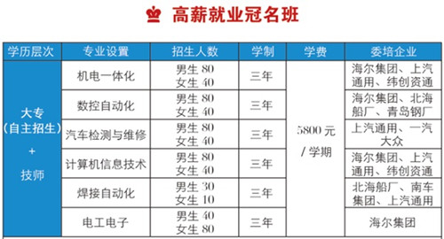 青島海灣理工專修學(xué)院高薪就業(yè)冠名班都有什么專業(yè)？