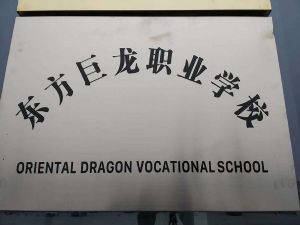 東方巨龍技術學校開設了那些培訓課程？